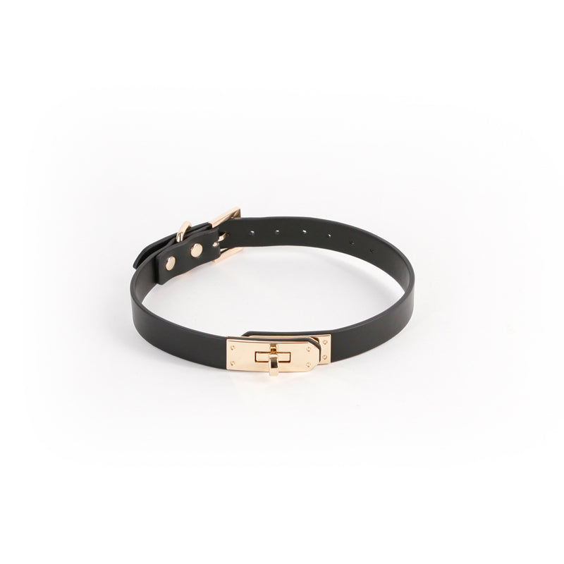 Fetish & Fashion - Sadie Collar - Black - Alternate Package