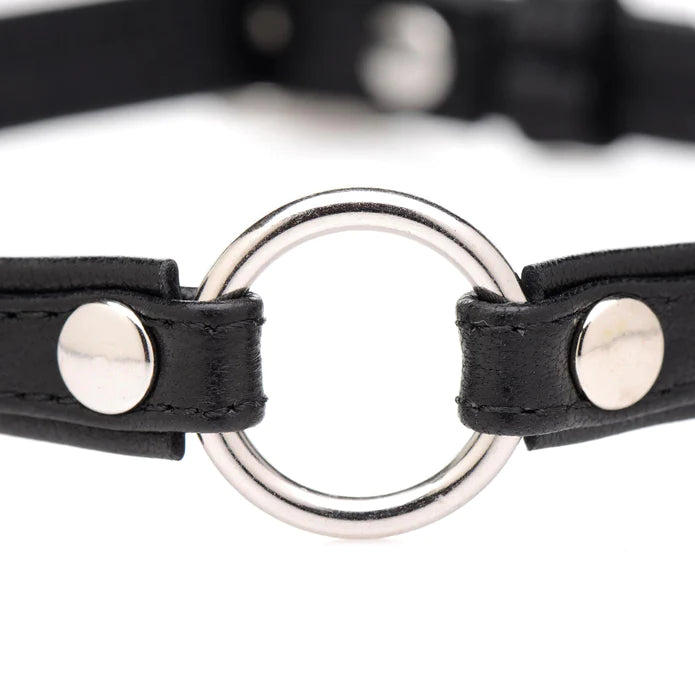 Pet Leather Choker With Silver Ring