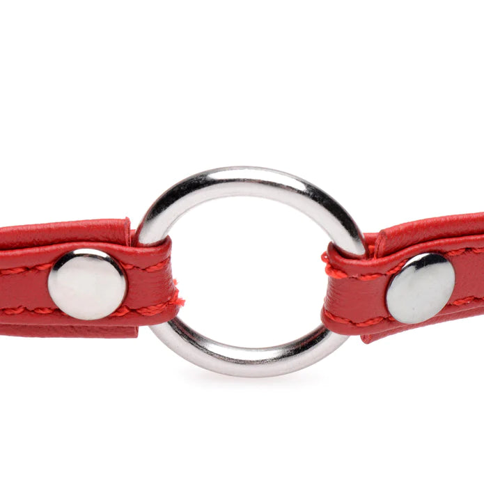 Pet Leather Choker With Silver Ring