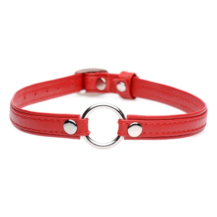 Pet Leather Choker With Silver Ring