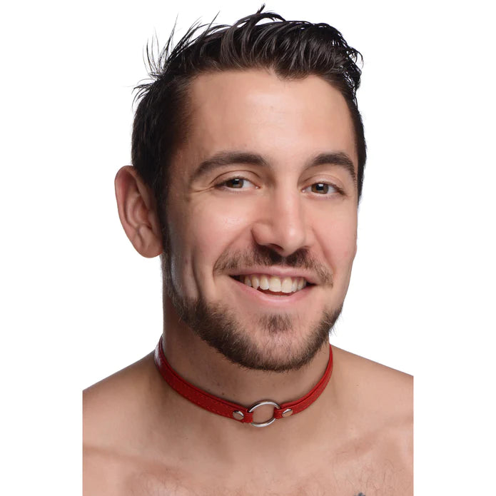 Pet Leather Choker With Silver Ring