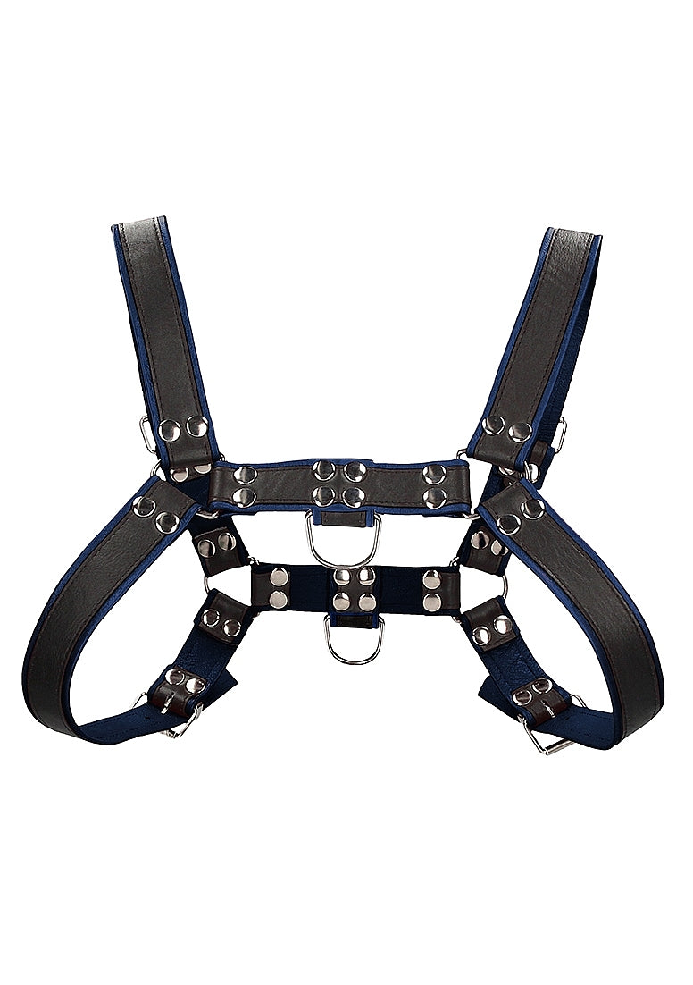 Chest Bulldog Harness