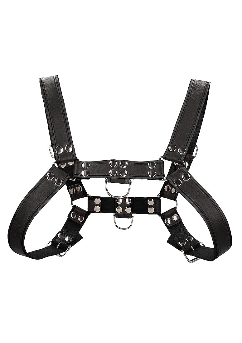 Chest Bulldog Harness