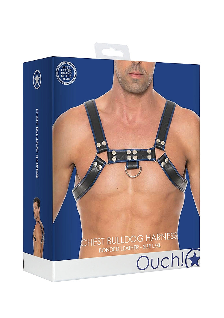 Chest Bulldog Harness