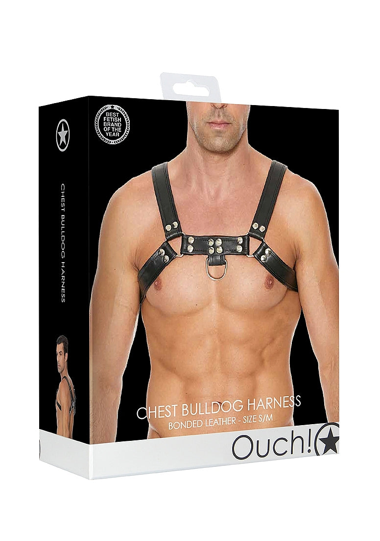 Chest Bulldog Harness