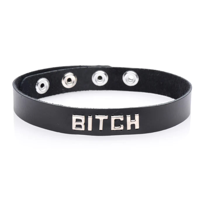 Leather ID Collar
