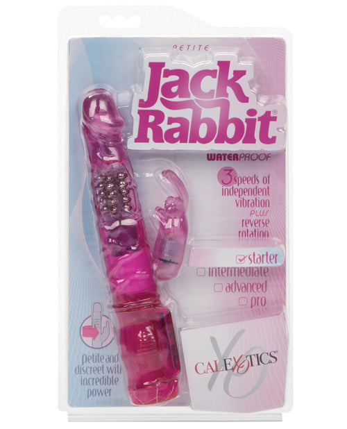 Jack Rabbits Petite - The Lingerie Store