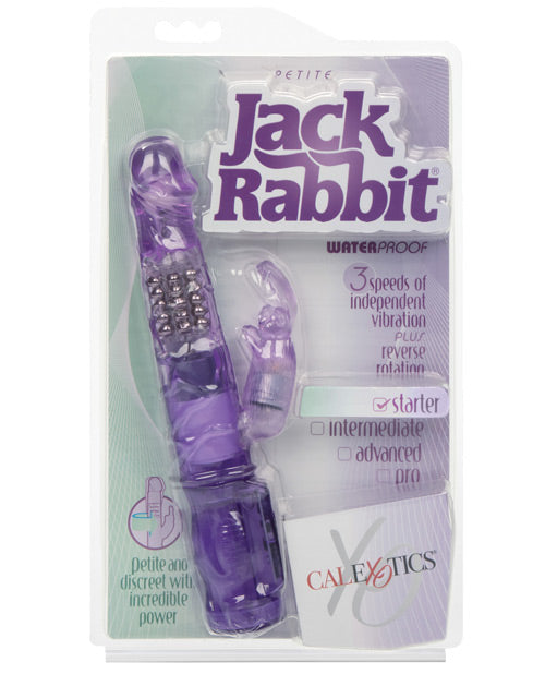 Jack Rabbits Petite - The Lingerie Store