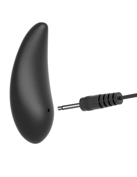 Remote Control Double Penetrator
